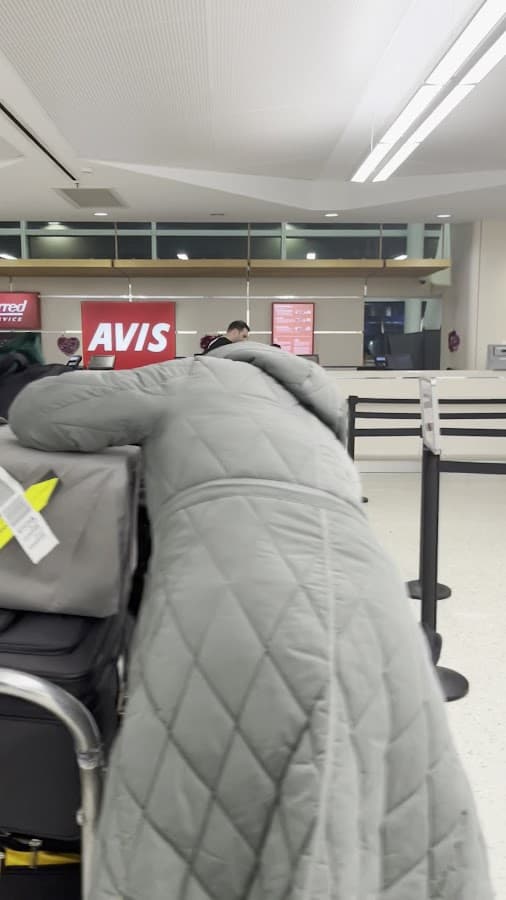 Avis Car Rental — foto
