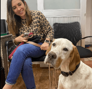 Chechovet Centro Veterinario 24/7 — foto