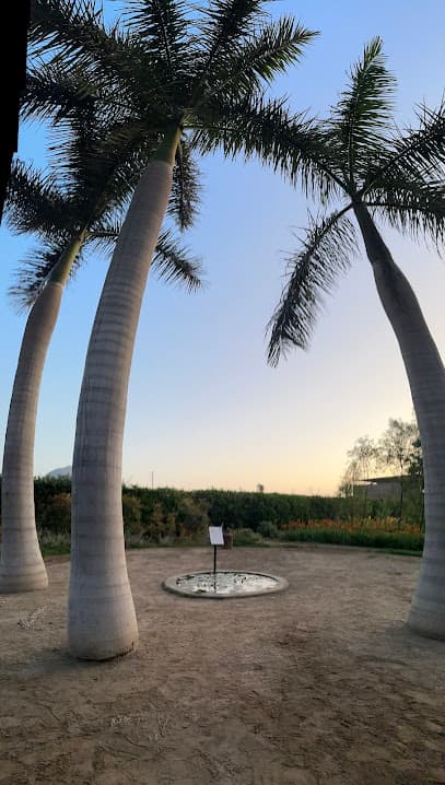 Museo Jardín de Los Sentidos