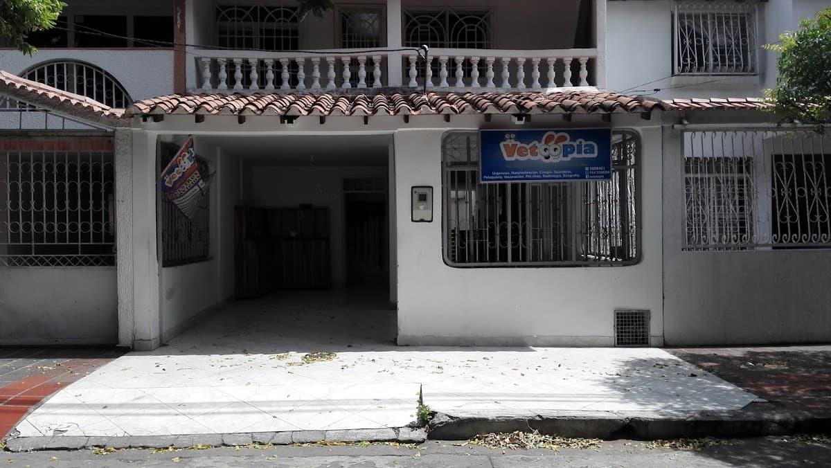 clinica vetoopia telefono