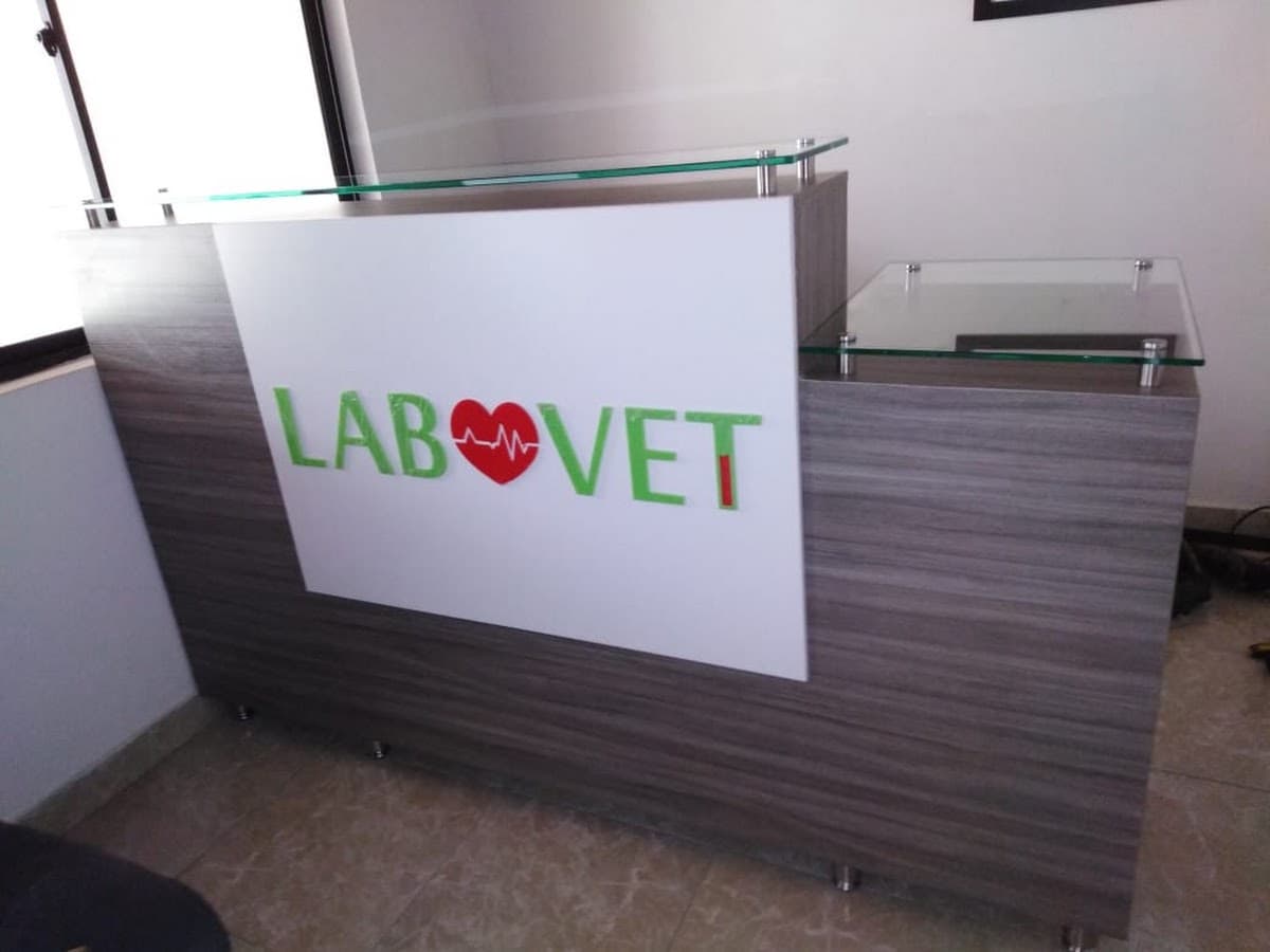 clinica vetoopia telefono — foto