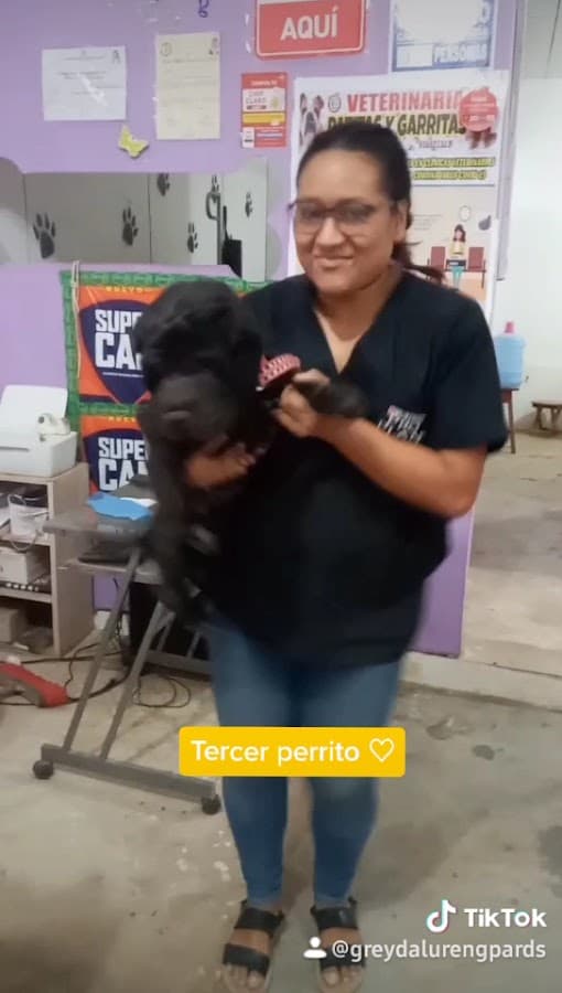 VETERINARIA PATITAS Y GARRITAS — foto