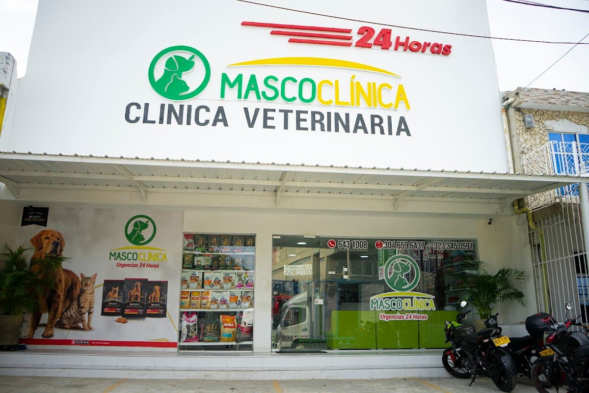 MASCOCLINICA CLINICA VETERINARIA