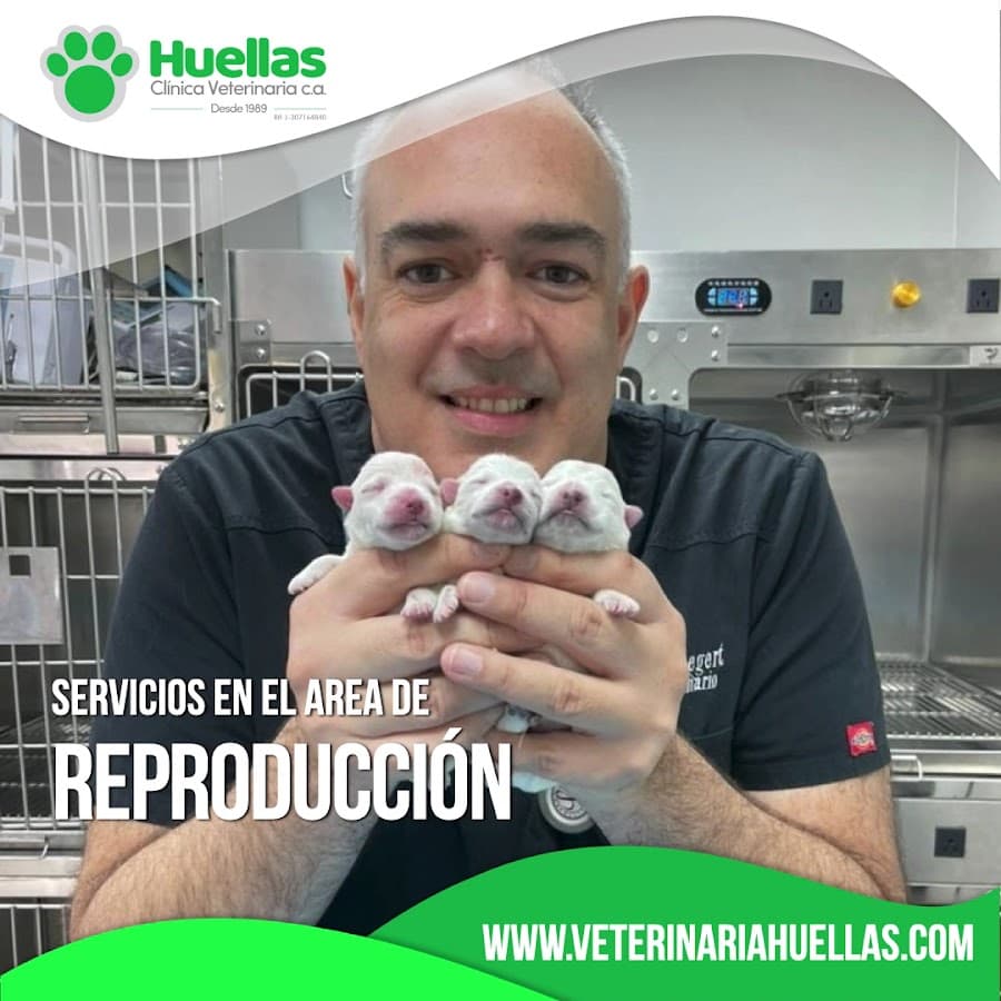 Huellas Clínica Veterinaria — foto