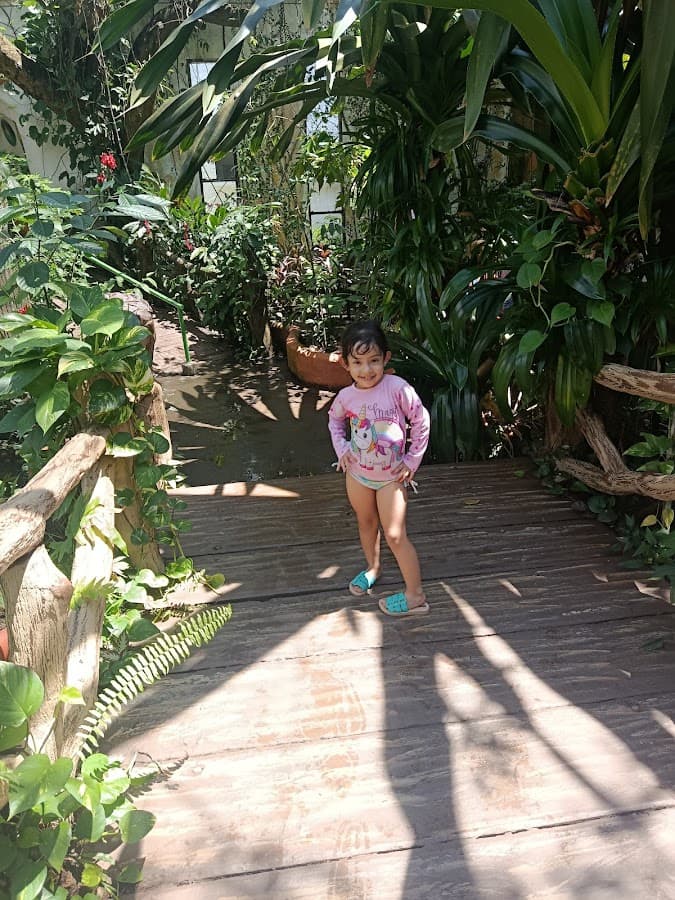 Agencia de Viajes Viva365 | Pasadías y Tours desde Ibagué — foto
