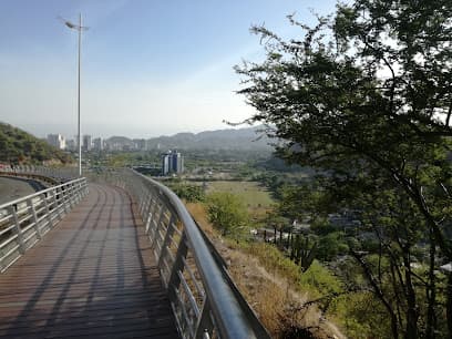 Cerro Ziruma