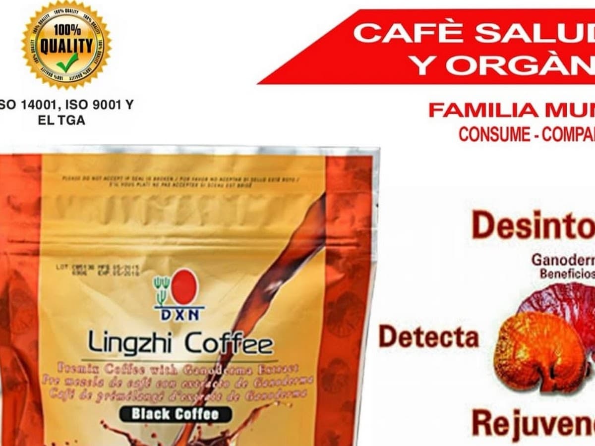 Cafe ganoderma Agueda — foto