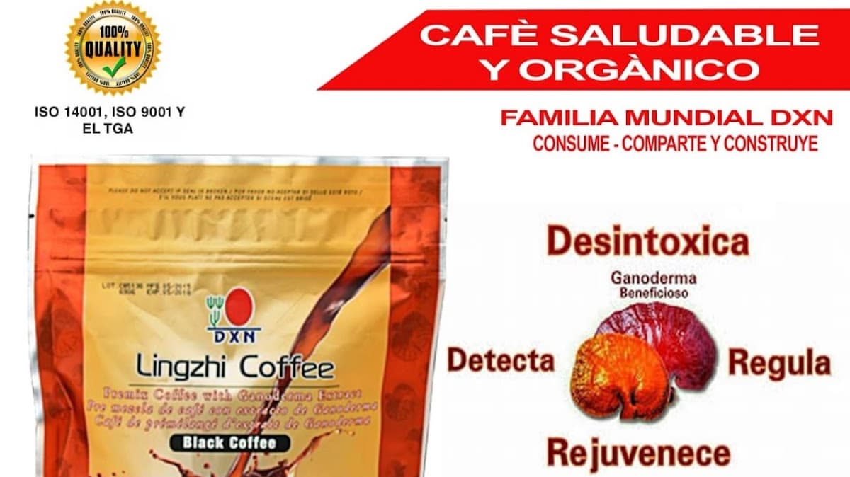 Cafe ganoderma Agueda — foto