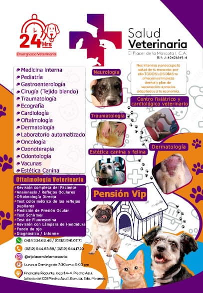 Salud Veterinaria el placer de la mascota — foto
