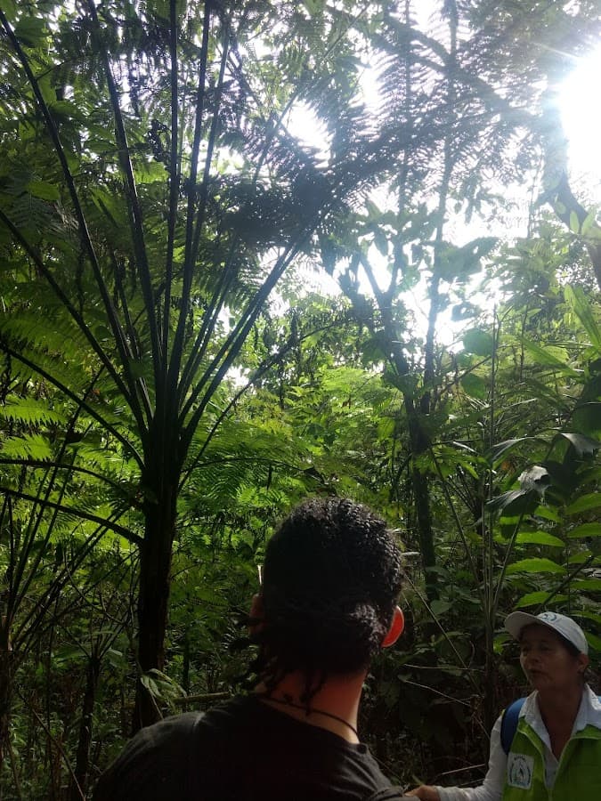 Humedal Coroncoro — foto