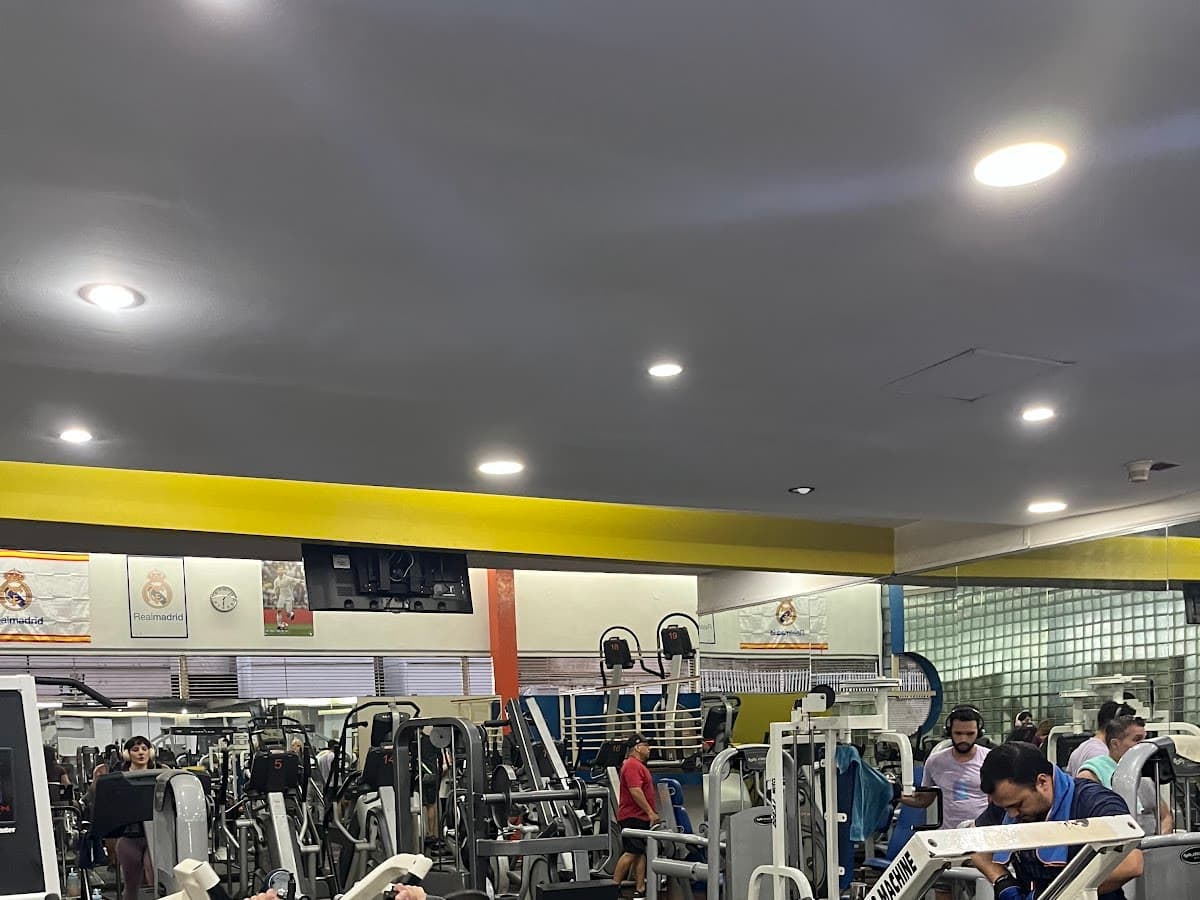 Gym Fitness