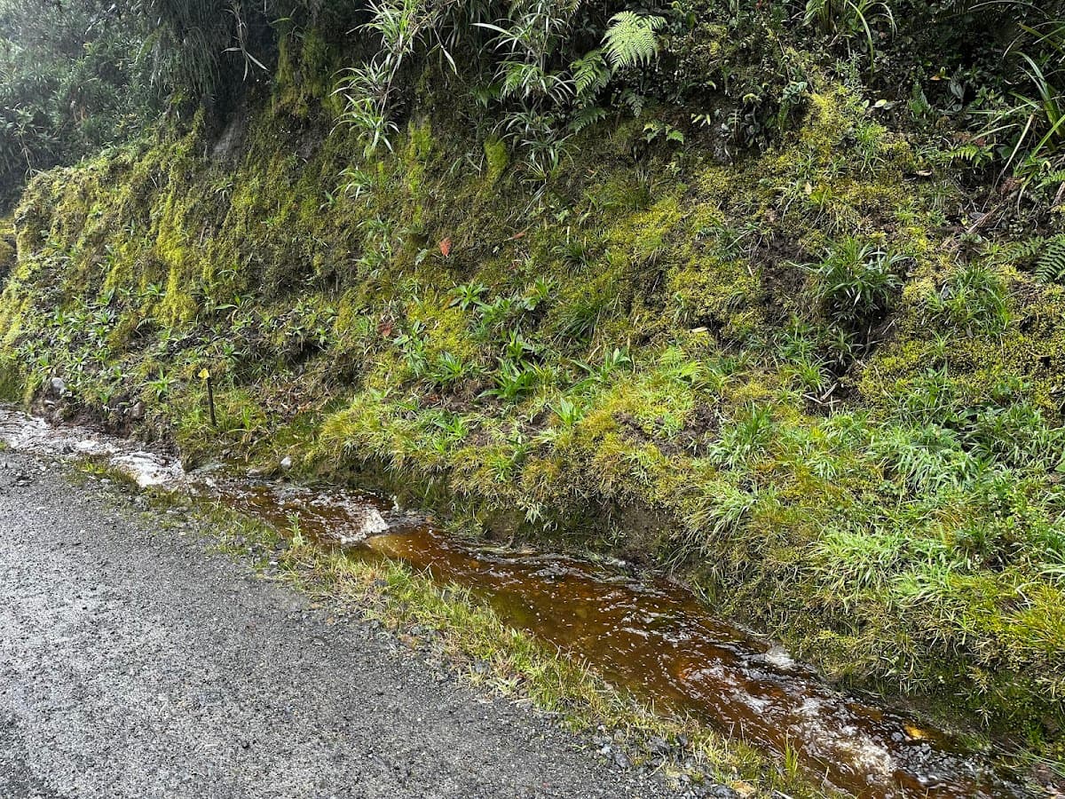 Parque Nacional Natural de Puracé — foto