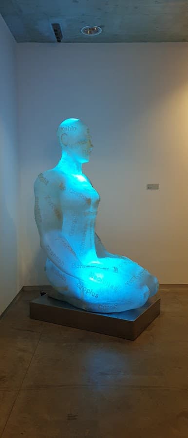 Museo Regional de Arte Moderno — foto