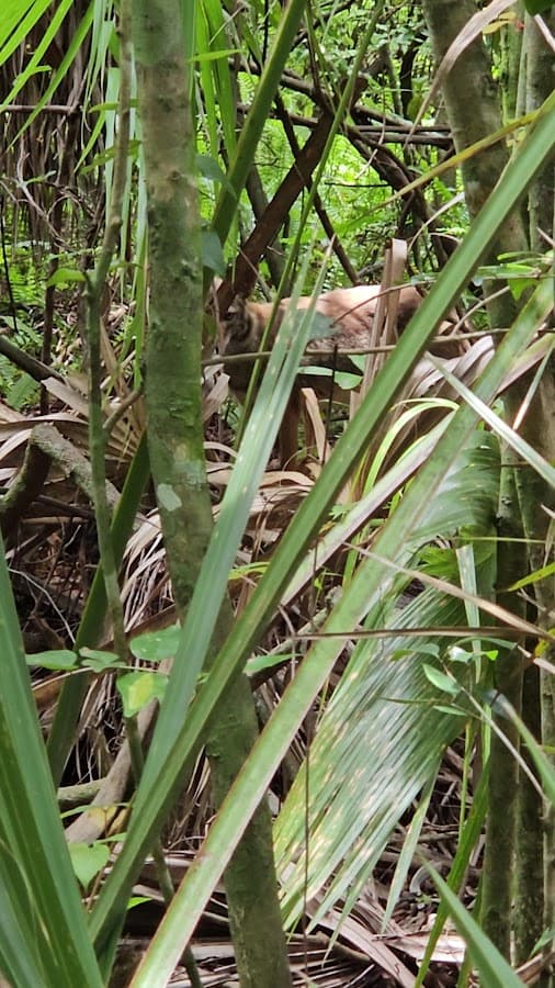 Secret Woods Nature Center — foto
