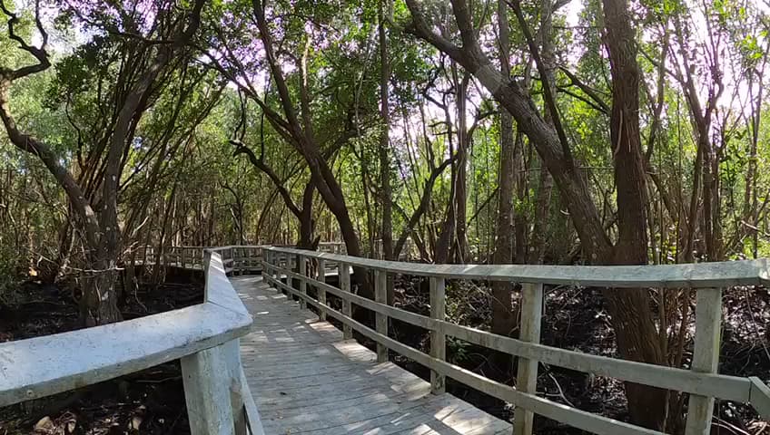 Secret Woods Nature Center — foto