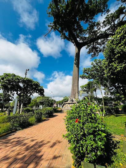 Parque la Lupuna mirador pucallpa