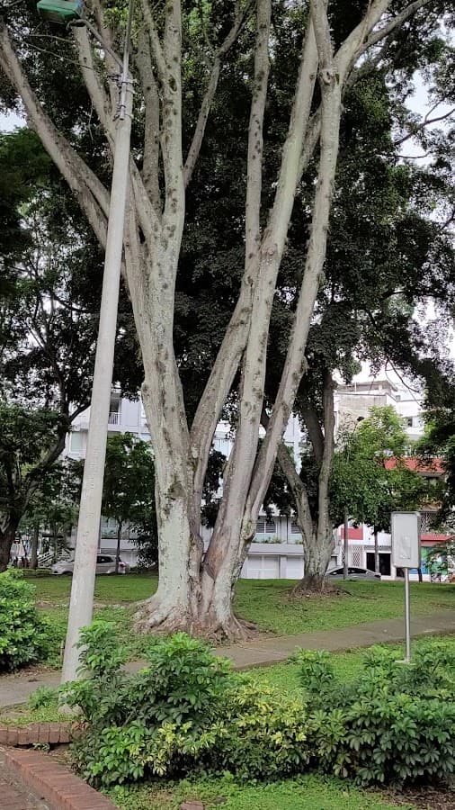Parque de Versalles — foto