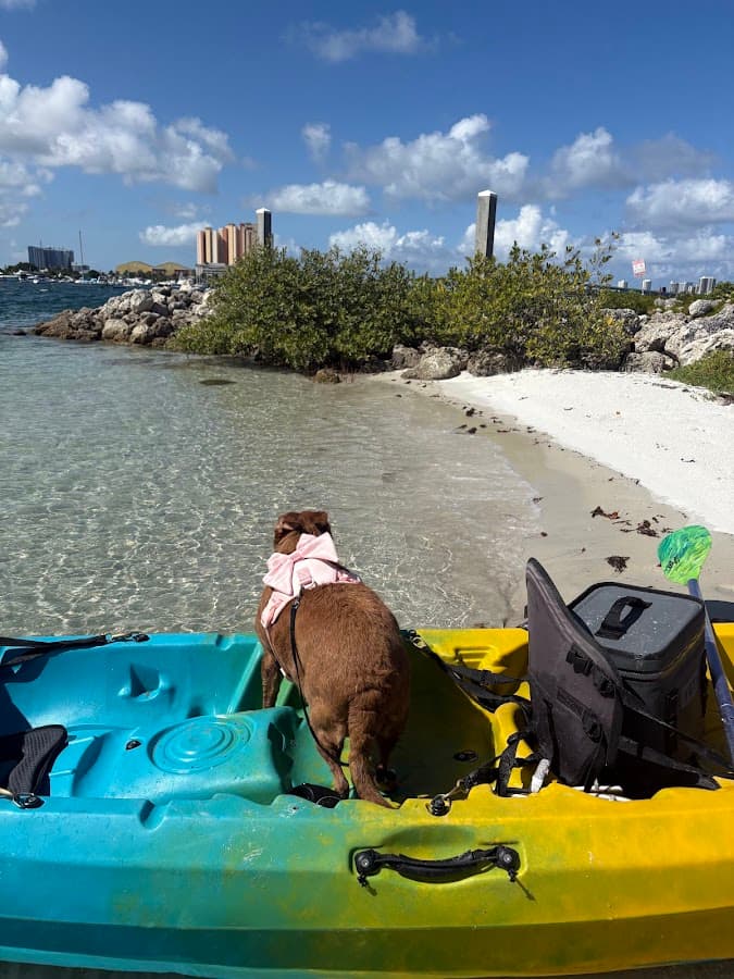 Get Wet Watersports Paddle Boarding, Snorkeling, Kayaking Singer — foto