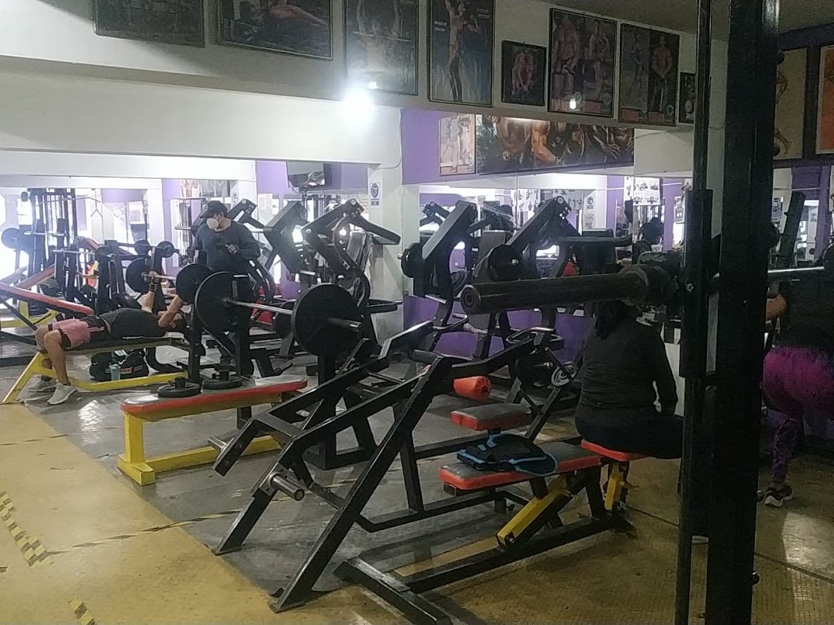 Athletic Fitness Club — foto