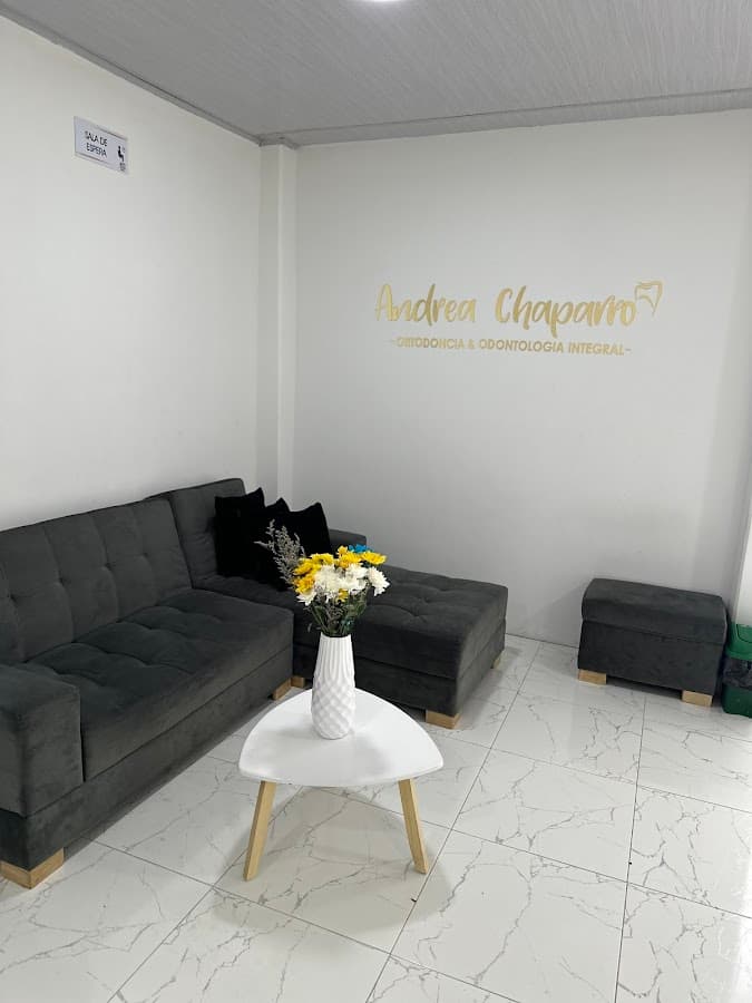 Dra. Andrea Chaparro ortodoncia y odontología integral — foto