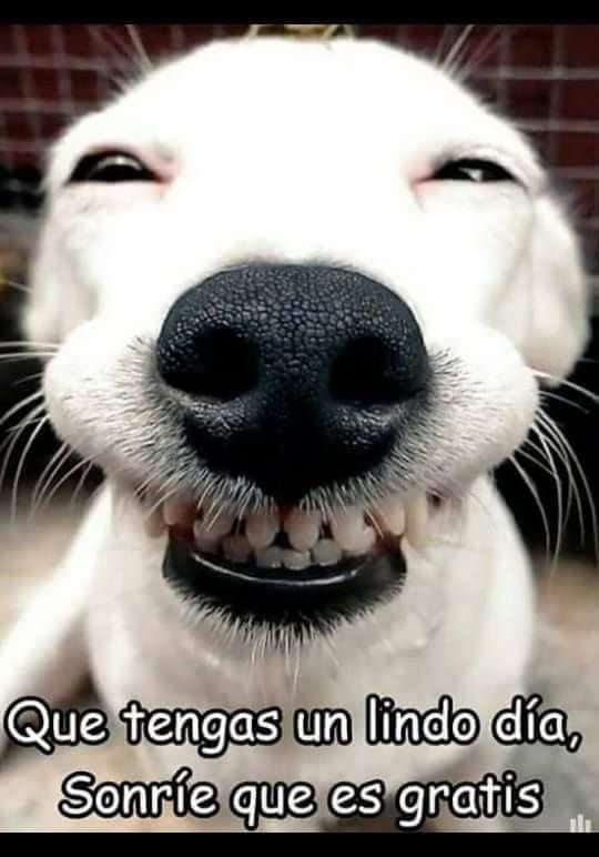 San Roque Veterinaria