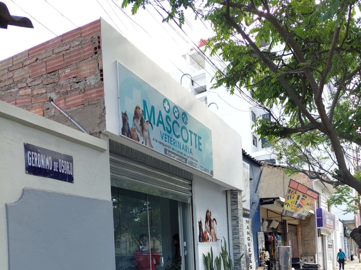 San Roque Veterinaria — foto