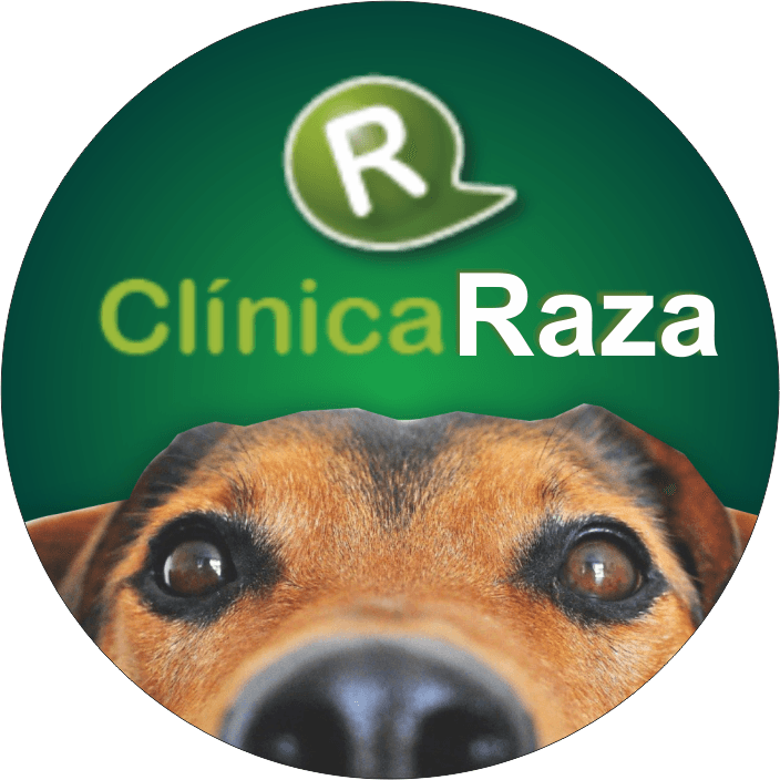 Urgencias veterinarias 24 horas Clínica Raza - Santa Isabel
