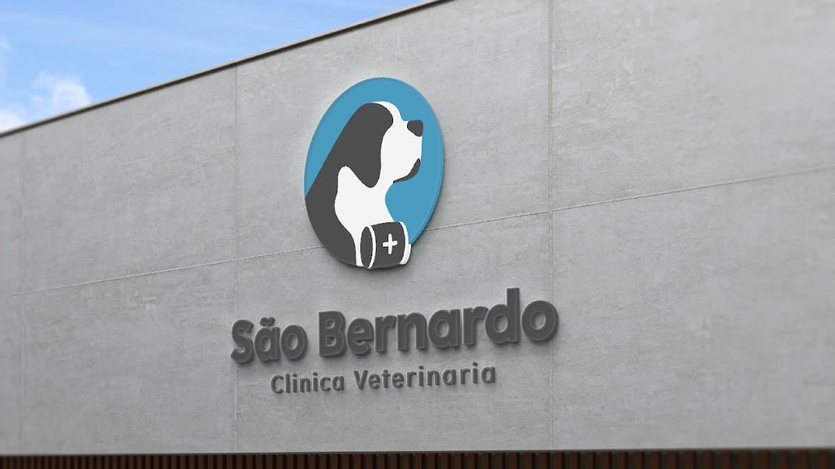 Veterinary Clinic St. Bernard