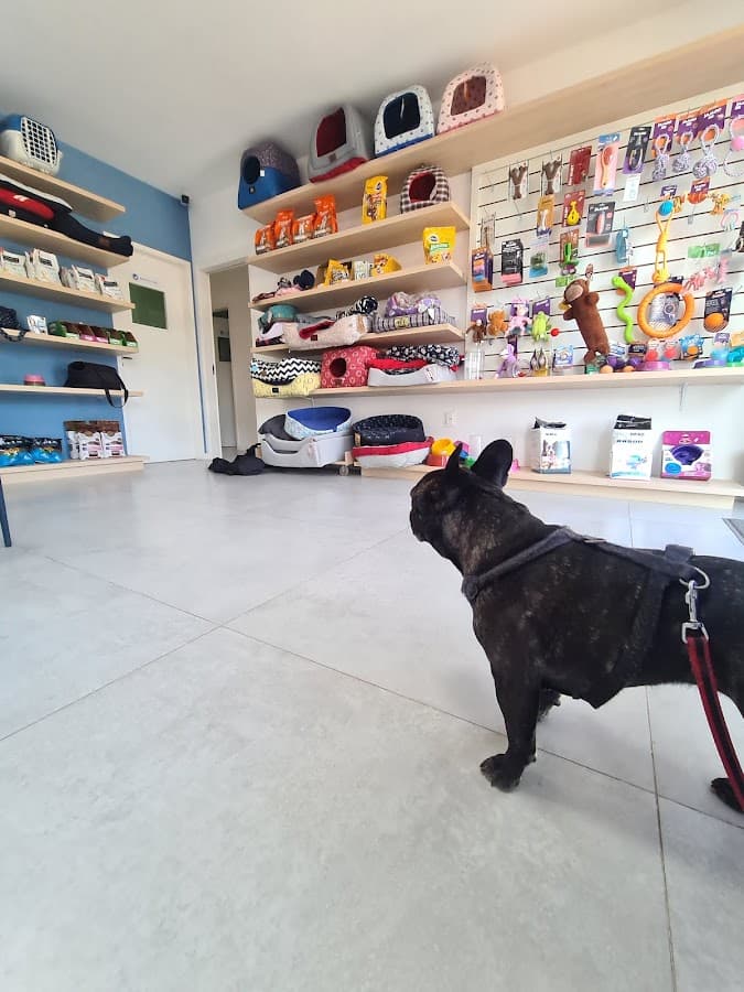 Veterinary Clinic St. Bernard — foto