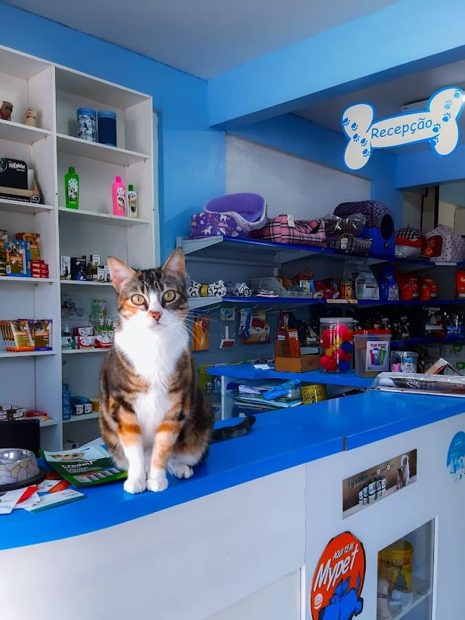 Veterinary Clinic St. Bernard — foto