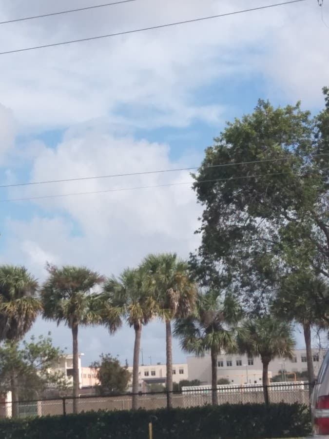 Palm Beach Gardens Community High School — foto