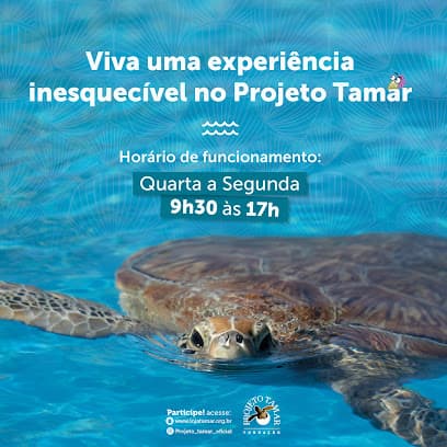 Fundação Projeto Tamar - Florianópolis
