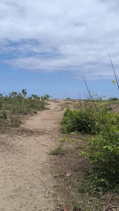 Parque Nacional Natural Tayrona — foto