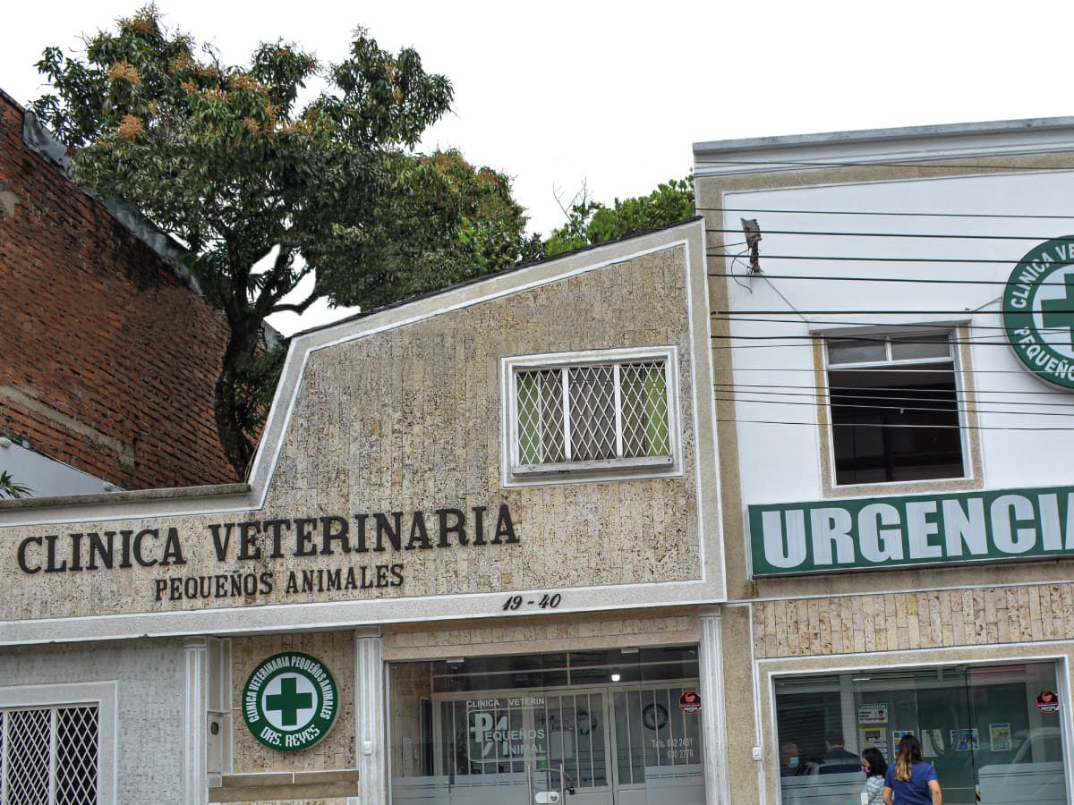 Clinica Veterinaria Vet&Pet San Francisco — foto