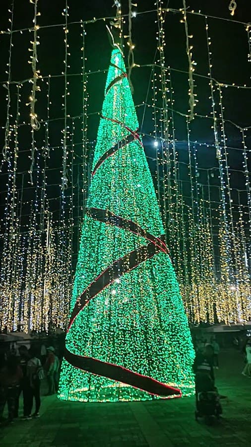 Parque Guadalupe Zapata — foto