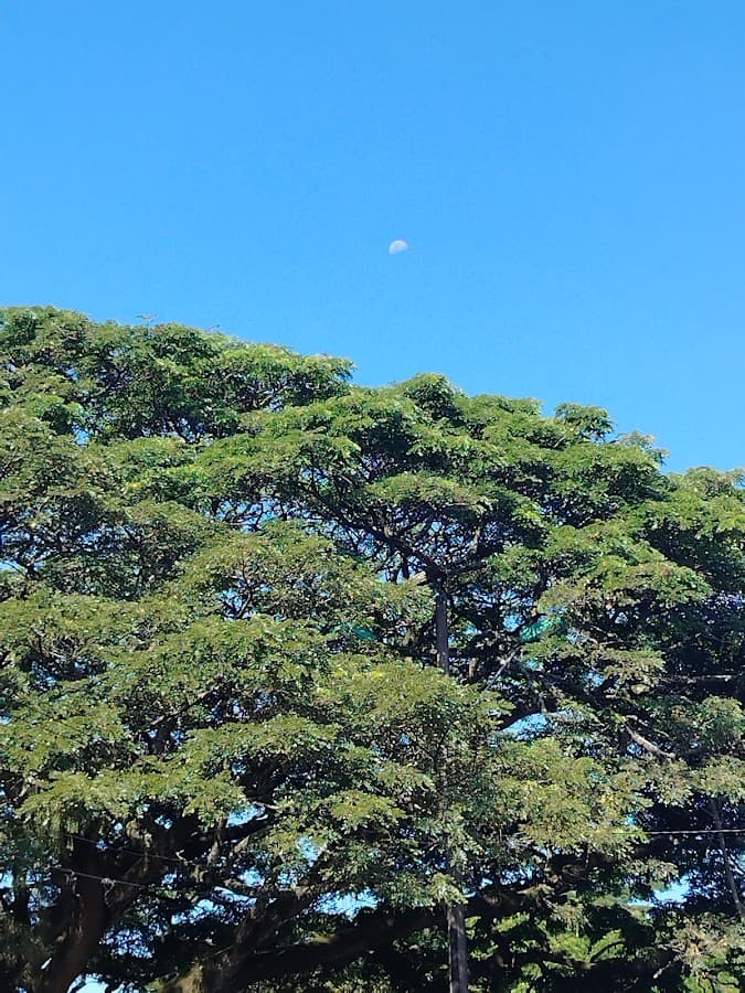 Parque del Amor — foto