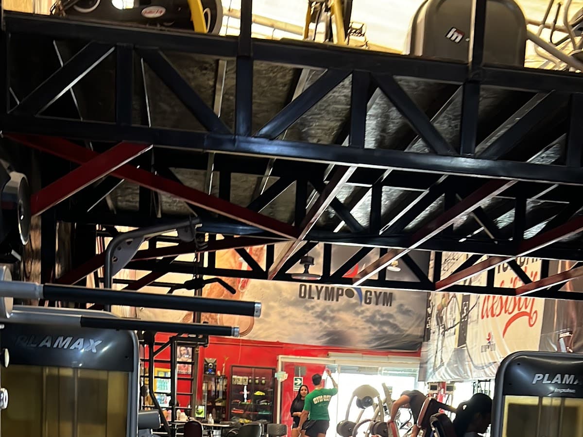 Evolution Fitness — foto