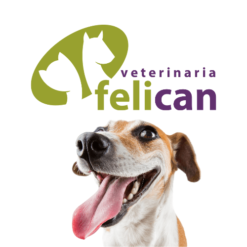 Veterinaria Felican — foto