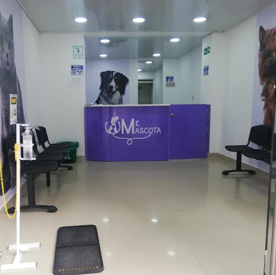 Hospital veterinario Mr mascotas