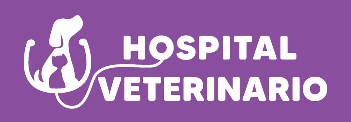 Hospital veterinario Mr mascotas — foto