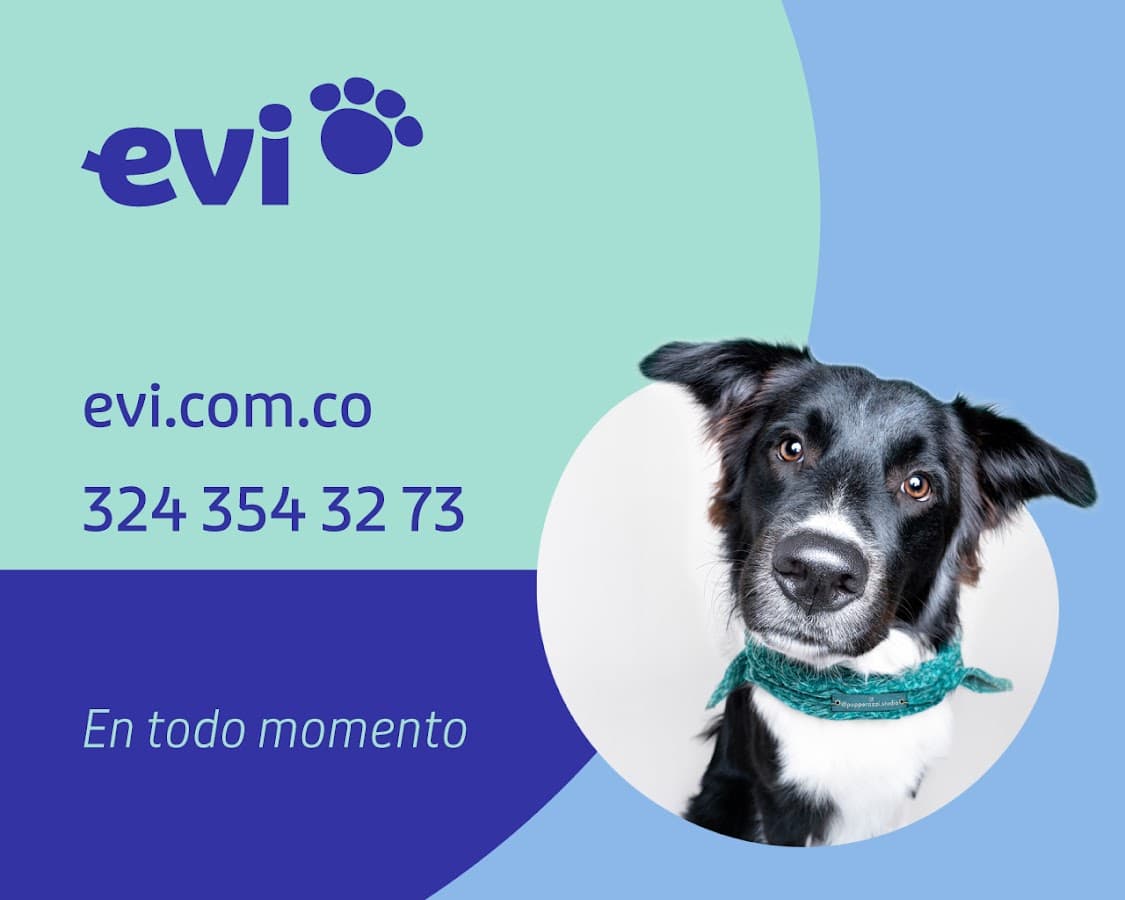 EVI - Clínica Veterinaria - El Poblado — foto