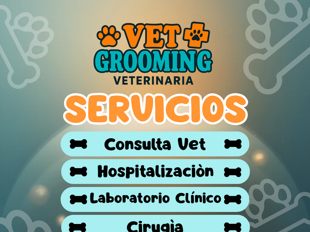 Veterinaria, Boutique canina y felina Huellitas — foto