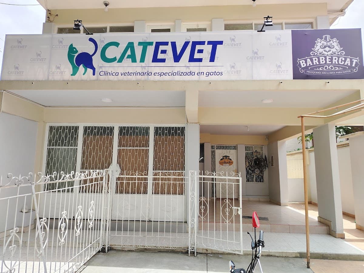 CatEvet