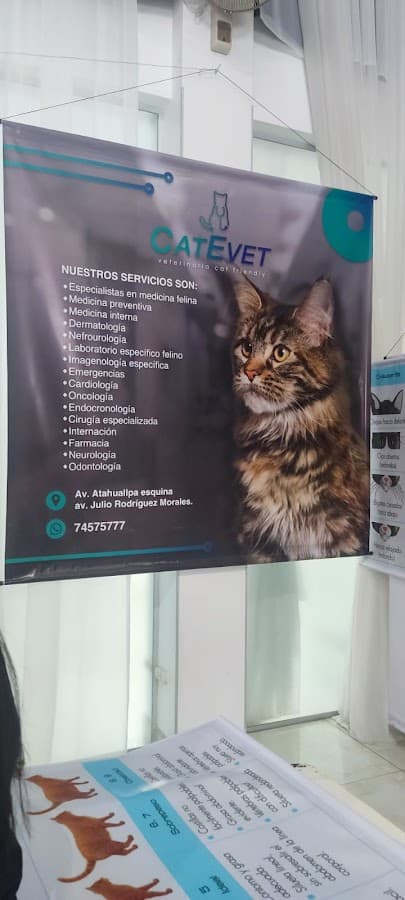 CatEvet — foto