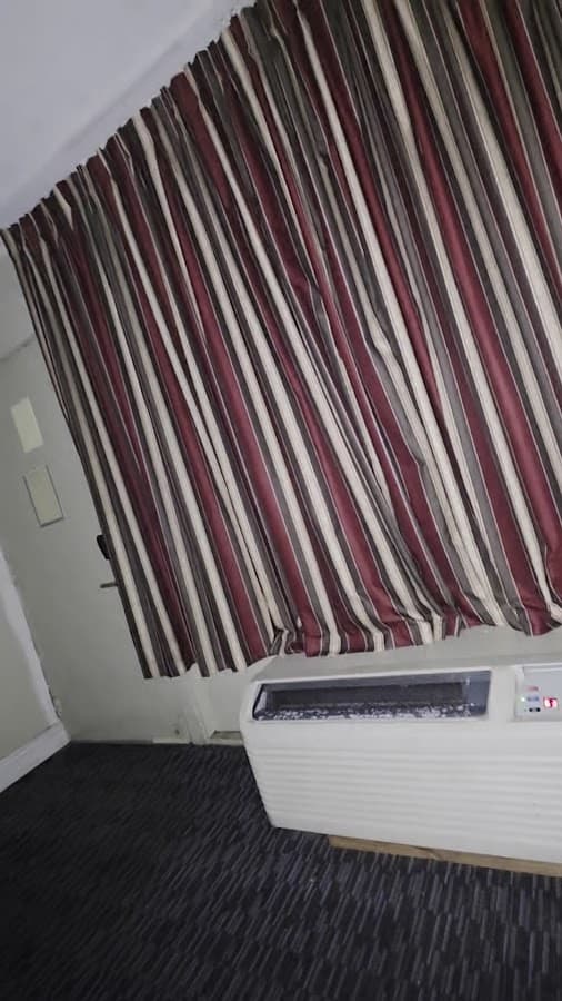 Tampa Inn Near Busch Gardens — foto