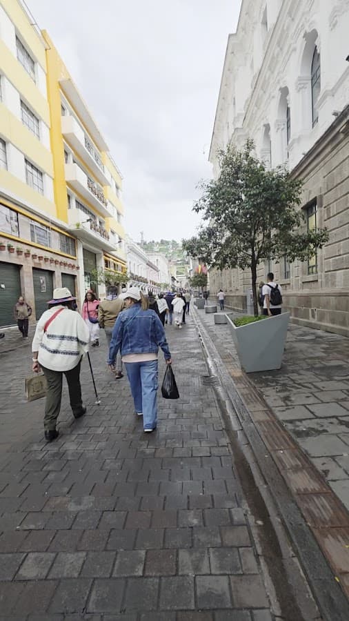 Catedral Metropolitana de Quito — foto