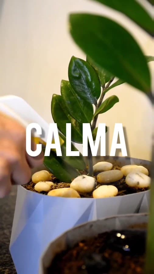 Clínica Dental Vaamonde — foto