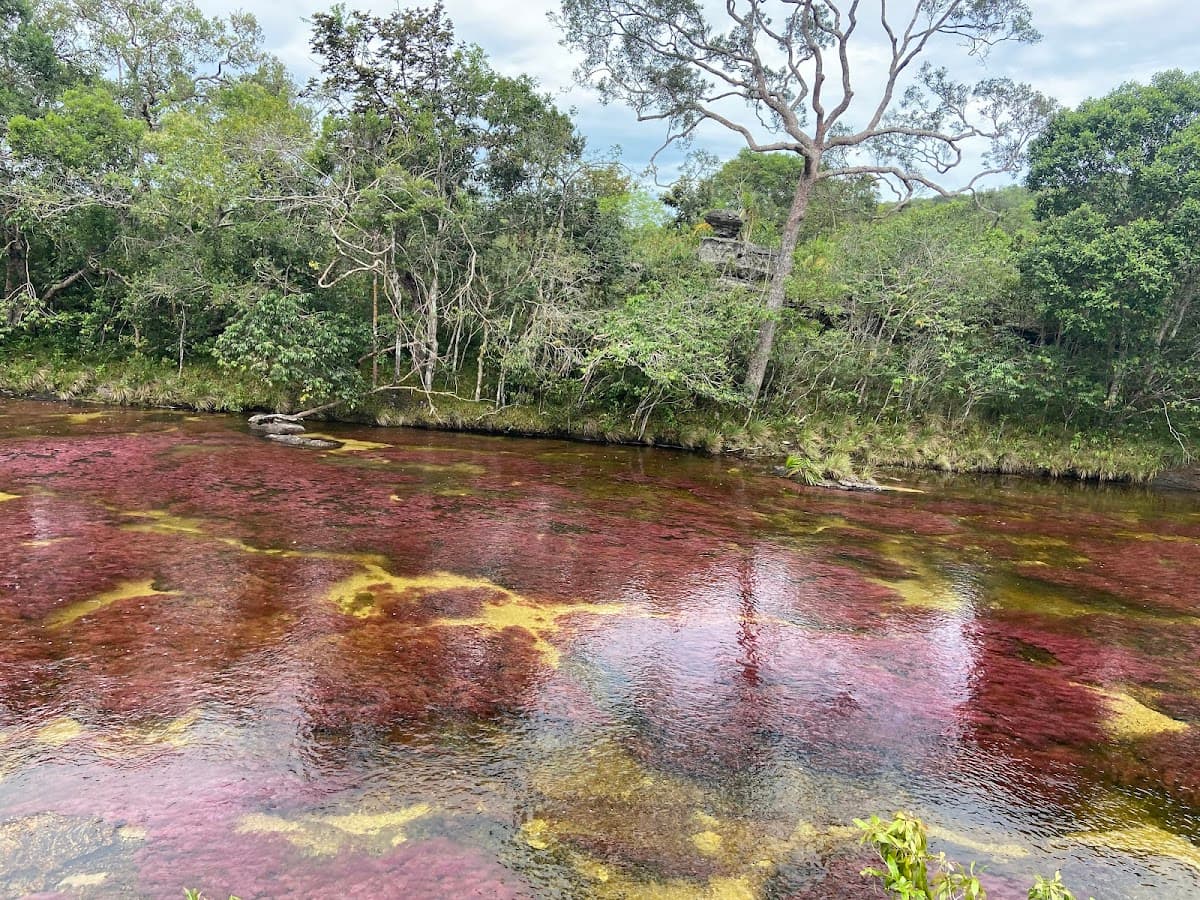 travelgreen.com.co — foto