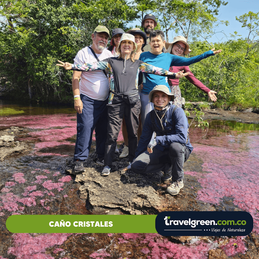 travelgreen.com.co — foto