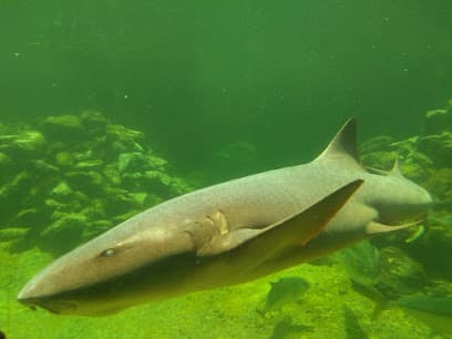 Acuario Mundo Marino